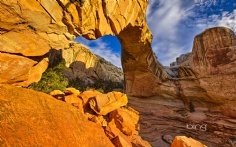 CapitolReefNP1920x12001-4-2012 10_45_18 AM Bing Desktop